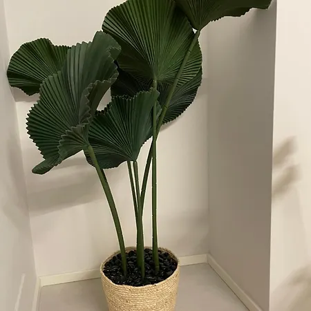 Apartment Daffy House *